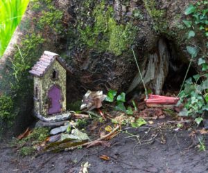 Fairy House Derrynane